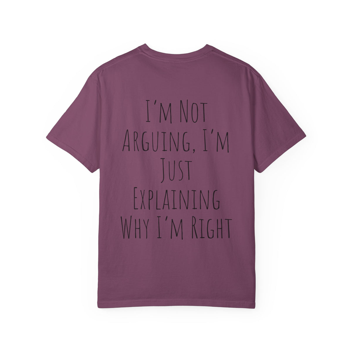 I’m Not Arguing Tee — Funny Statement T-Shirt with “I’m Just Explaining Why I’m Right” Print